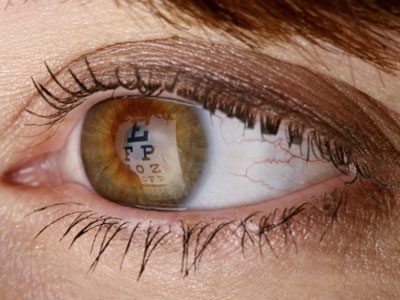 Your Eyes: The Window To Your Health