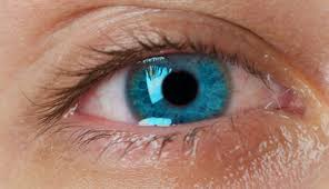 It’s That Time Of Year- Understanding Eye Allergies